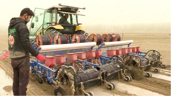 新疆阿瓦提县:135万亩棉花播种工作有序展开
