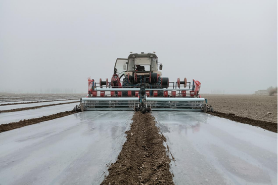 种植户吐尼亚孜·阿布都热依木正带着工人紧跟播种机查看开沟,下种,铺