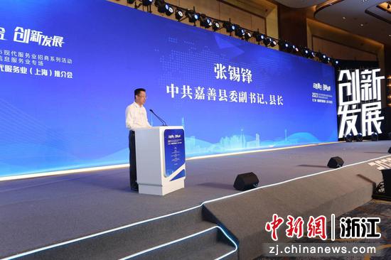 18个项目签约 浙江嘉善在上海举办现代服务业推介会-中国新闻网-浙江新闻