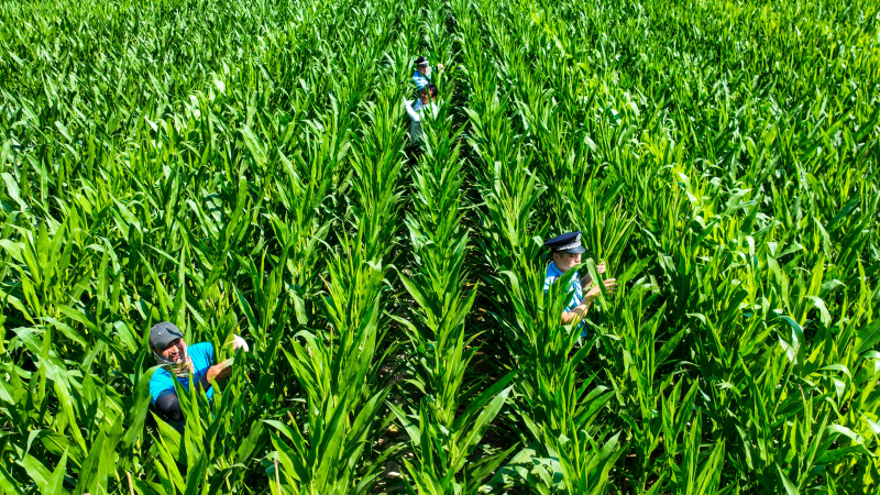 新疆伊犁移民管理警察走进田间地头开展助农宣传活动