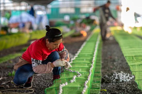 兜牢民生底线，国务院常务会议再出招！