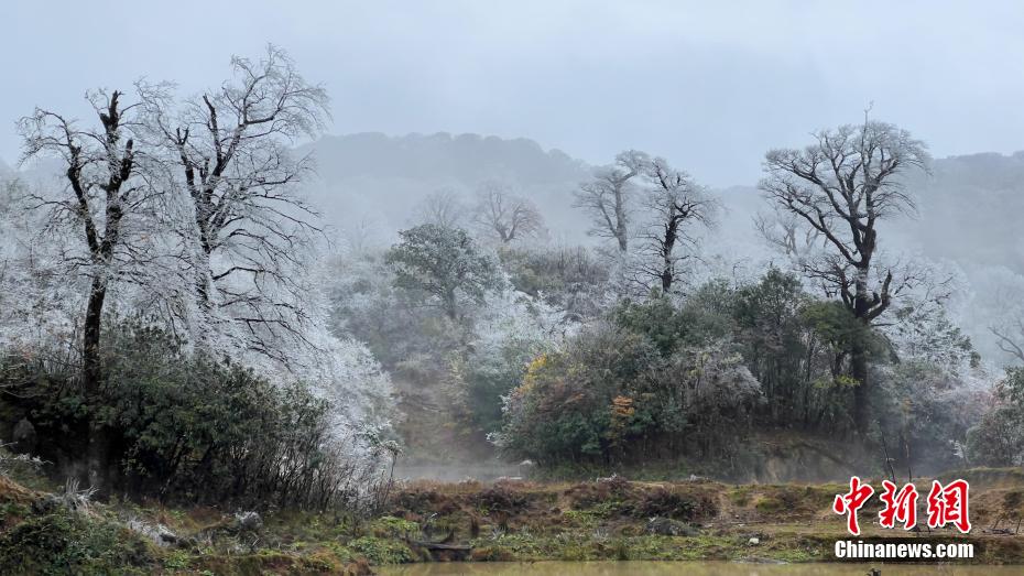 广西气温骤降北部山区雪景五彩斑斓