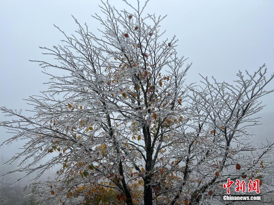 广西气温骤降北部山区雪景五彩斑斓