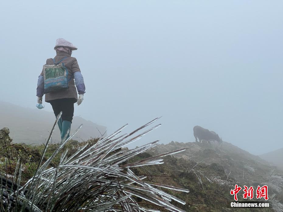 广西气温骤降北部山区雪景五彩斑斓