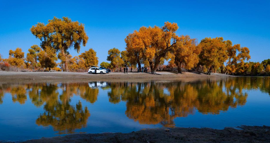 沙雅县:打造多元化旅游体验 书写文旅发展新篇章-中新网·新疆