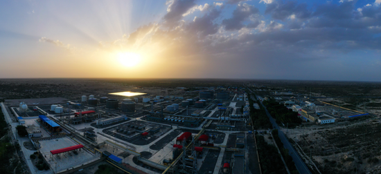 铆足干劲从春天出发轮台县为高质量发展蓄势赋能