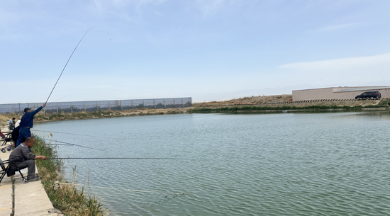 托克逊县夏镇发展特色产业助推乡村振兴