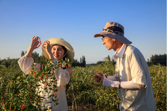 "团结奋进70年 同心共筑中国梦"网络名人"云游博州"活动走进精河县