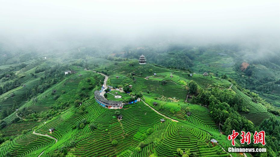 茶坪村仙人谷风景区图片