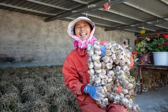 "大有镇广泉下村村民张保国一边忙着收割一边高兴地说道.