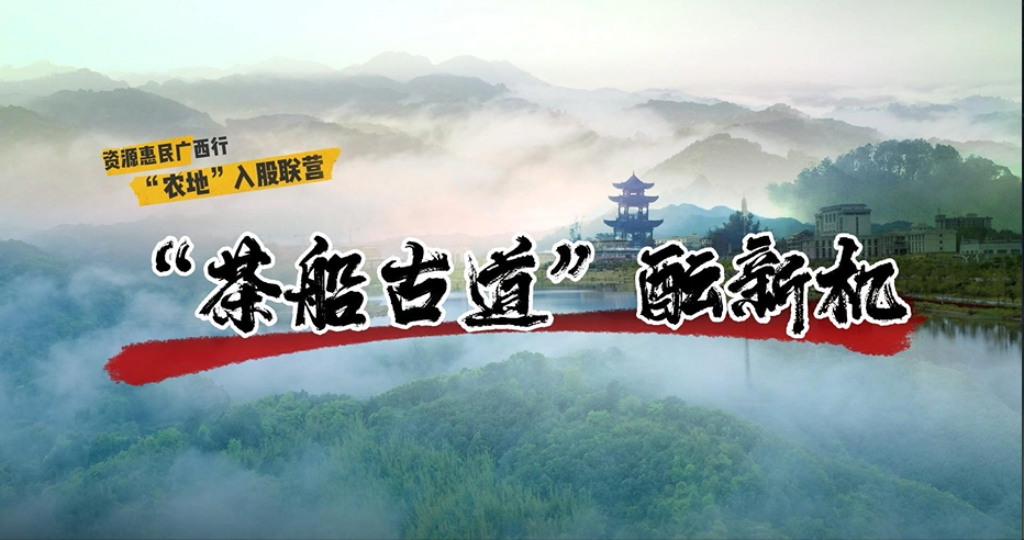 资源惠民广西行：“茶船古道”酝新机