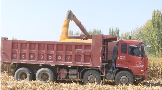 f2bfa7db0c7d4a26cbfe2f36f85e12d2