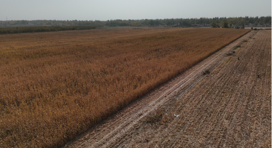 77ff89f5d1c59e8c7288b140d3e60c36