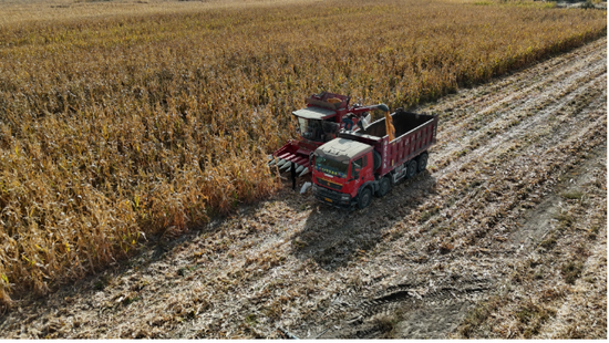 0b748d5487a0ad8e896839532e012125