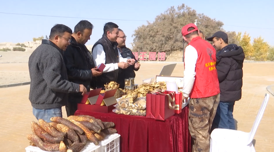 0978ab9fb5a355217905997422f953dc