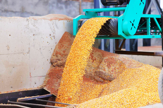 a4cfc35355eeefc8ccca8698c8fb9541