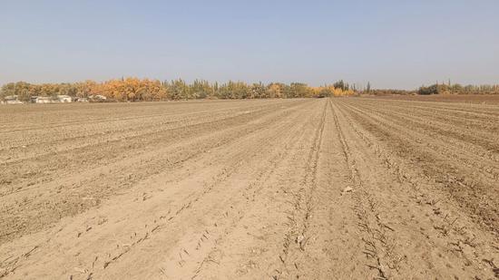 980180a6da4c6455da2d525a489a1e63