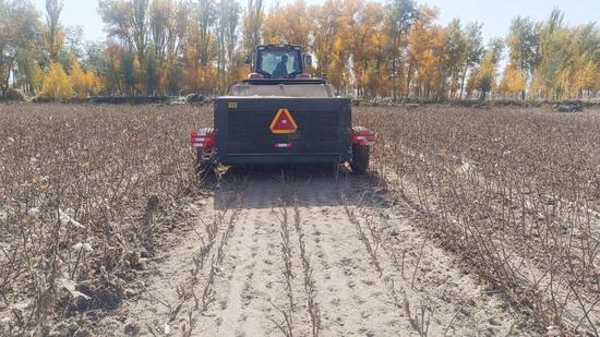 9623baa49a863d5f2b2f38fb7db23123