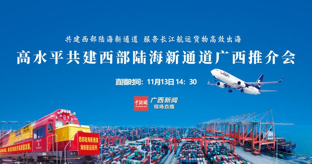 高水平共建西部陆海新通道广西推介会