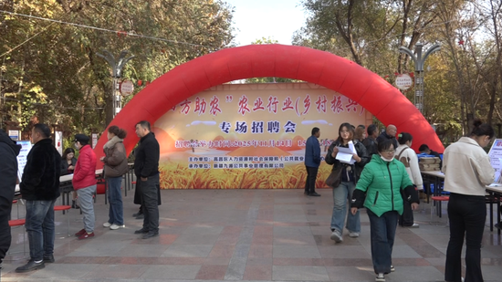 高昌区“四方助农”农业行业（乡村振兴）专场招聘会现场。薛子扬 摄3