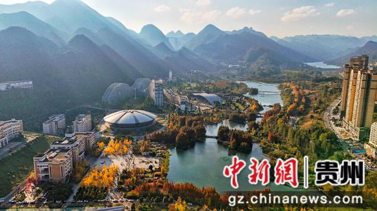 11月16日拍摄的六盘水明湖国家湿地公园。赵桦 摄