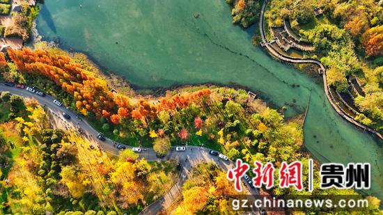 11月16日拍摄的六盘水明湖国家湿地公园一角。赵桦 摄