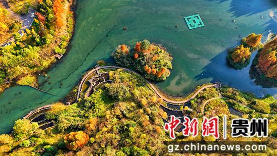 11月16日拍摄的六盘水明湖国家湿地公园一角。赵桦 摄