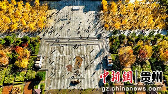 11月16日，六盘水明湖国家湿地公园旁的六盘水师范学院校园内游人如织。赵桦 摄