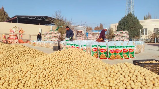 泽普县阿依库勒乡：核桃加工带来“家门口经济”