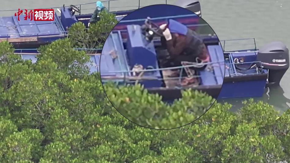 广西北海海警局两天连查11艘“三无”大马力快艇