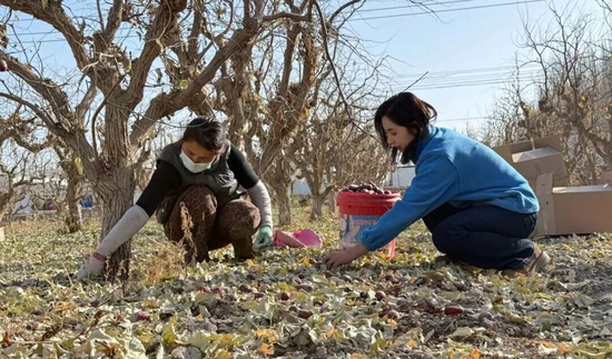 84697e54dbd3f39ea88a47b52cdbd621