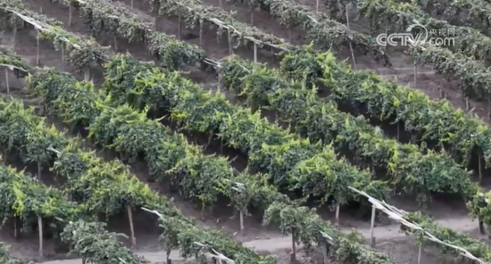 6a4a207be6157d0794104760c021d589