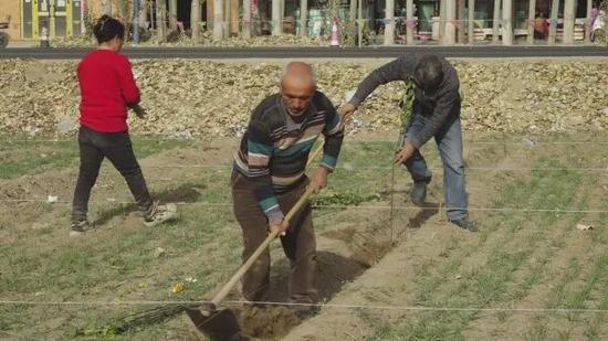 4b8c2db1a610a5d0a3a8d258fe74452e