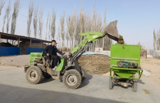 发展特色养殖 蹚出致富“牛路子”。阿尔孜古丽摄5