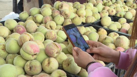 黄桶街道新堡村村民在今年8月参加了就业培训后，就将学习到的网络营销方法运用到了冬桃销售中，有效提升了销售单量和收入。