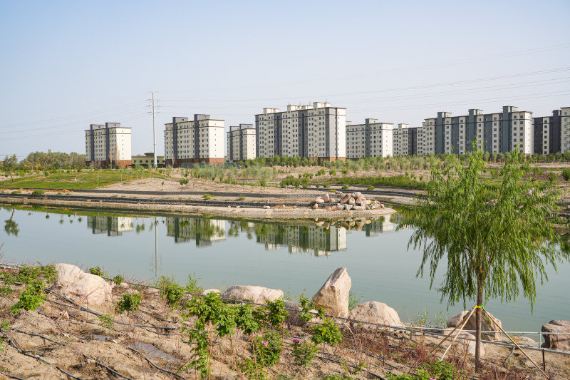 初冬的塔里木盆地南缘，尉犁县孔雀河畔暖意融融。