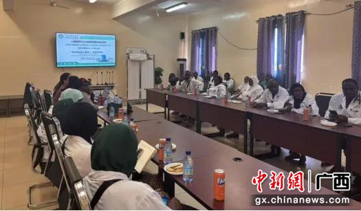 专家组成员以及援尼医疗队队员共同组织专题培训。王舟 摄