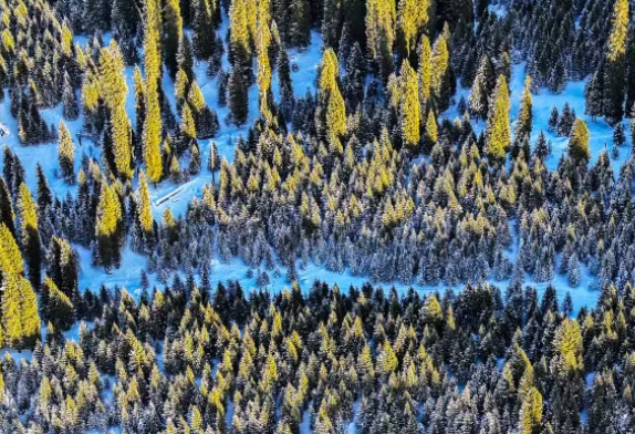 今起，新疆这些景区临时闭园