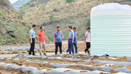 图为工作人员正在给烟田送水“保命水”。杨绍基 摄