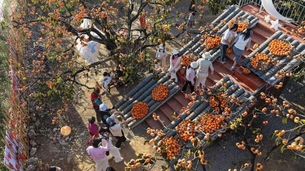 工行广西分行 供图