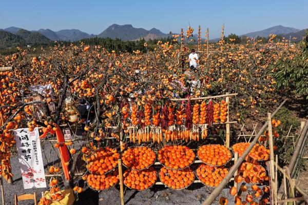 工行广西分行 供图