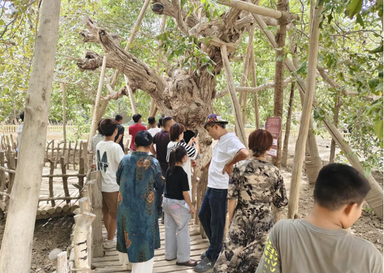 fb4ce1fd510192850d582ca63fe612f2