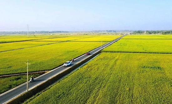 536c32c102ade1843e790bd05f40725f