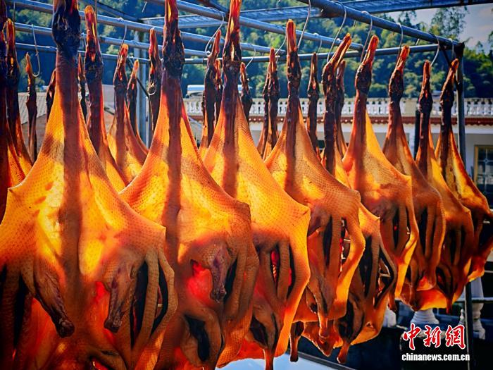 香飘全国的“致富鸭”：广西南乡镇腊鸭2025年产值破1300万元
