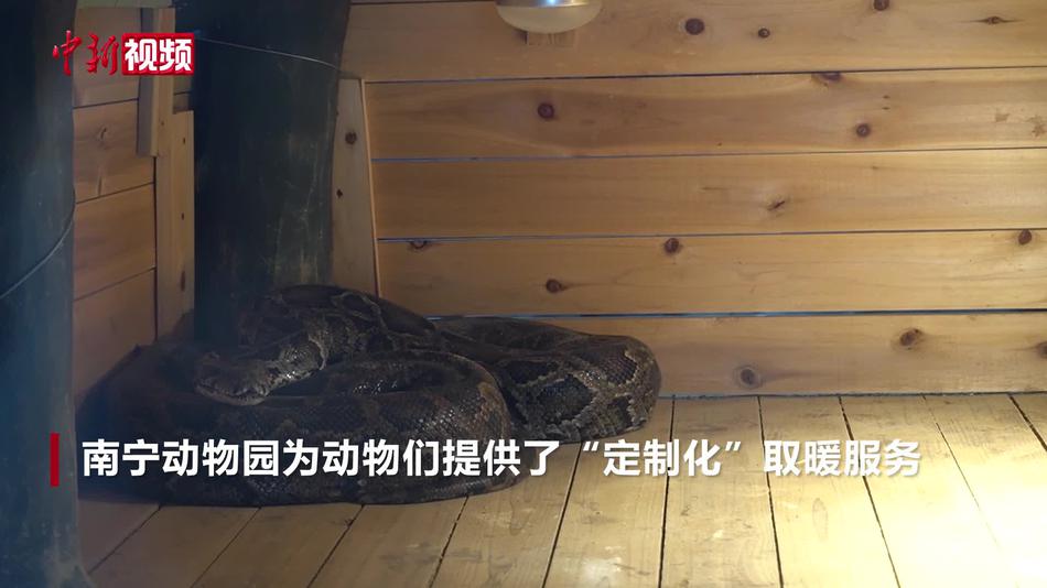 广西南宁动物园动物享“定制式”温暖过冬