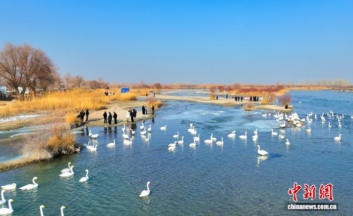 新疆“天鹅湾”旅游热度攀升