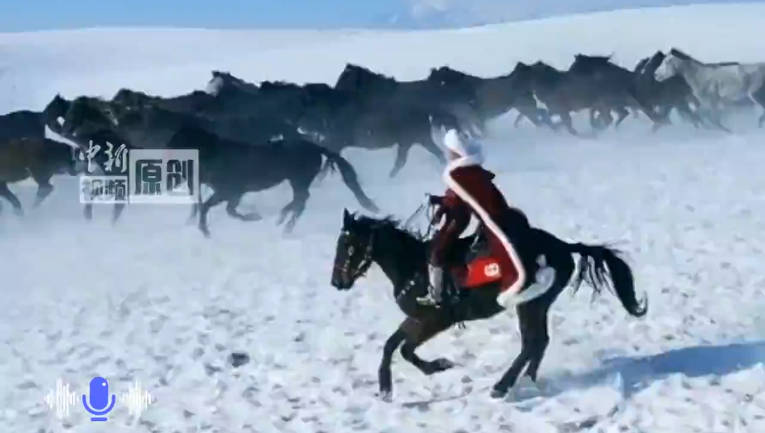 贺娇龙工作中坠马 正在抢救