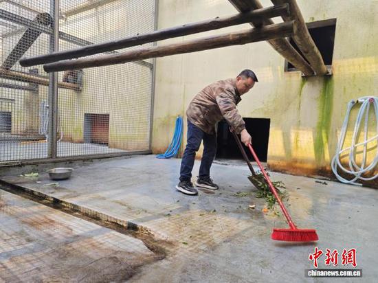 图为工作人员清理黔金丝猴圈舍。黎福慧 摄