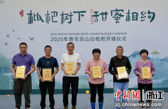 此前，2025年曹宅高山白枇杷开摘仪式现场。（曹宅镇人民政府供图）