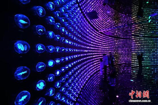 1月30日，天津，观众在“未来海洋”展厅参观生物基因库。当日，位于天津滨海新区的国家海洋博物馆“未来海洋”展厅正式向公众开放。记者 佟郁 摄